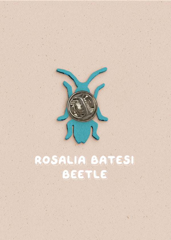 Blue Rosalia Batesi Beetle