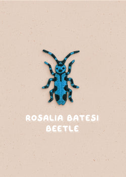 Blue Rosalia Batesi Beetle