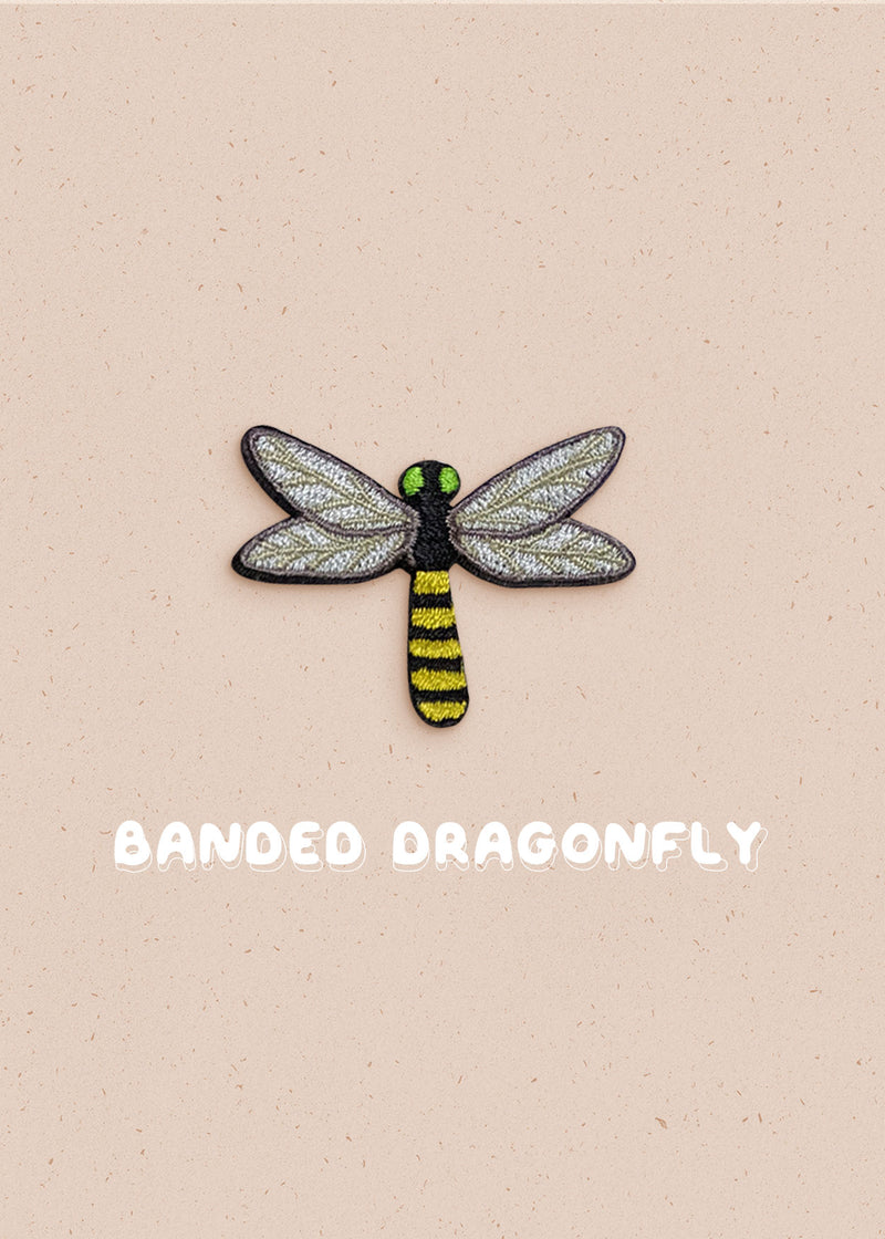 Banded Dragonfly Pin