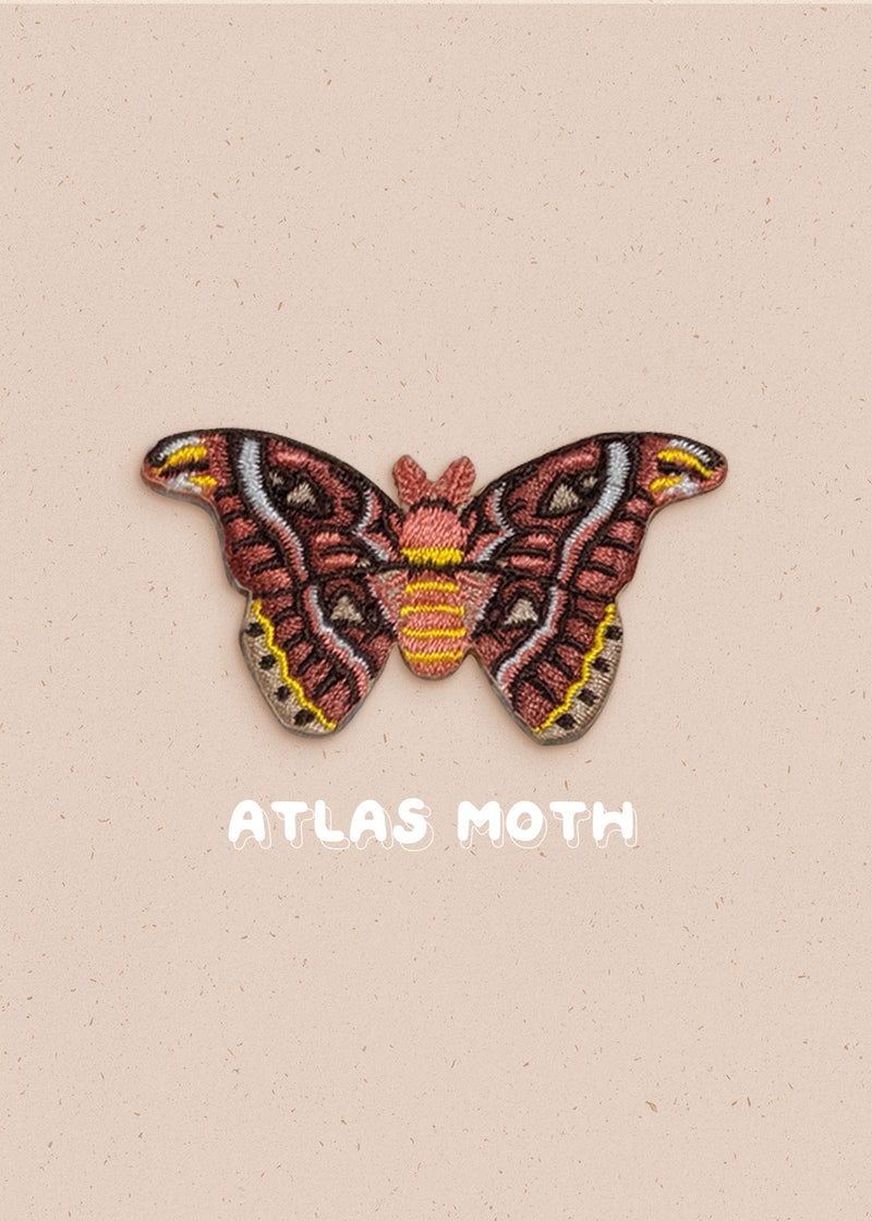 Atlas Moth Pin