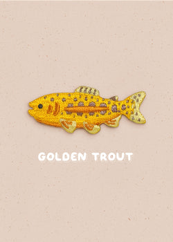 Golden Trout Pin
